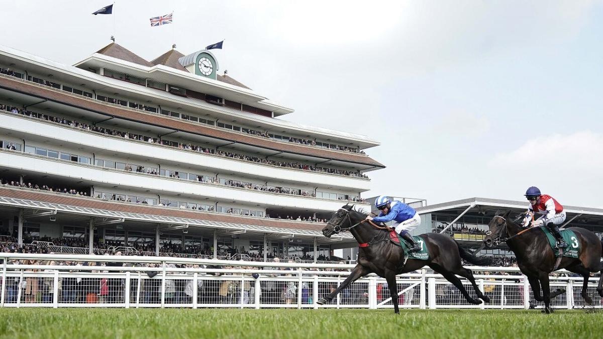Horse racing at Newbury